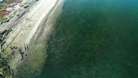 a beach with luxurious water and people playing outside