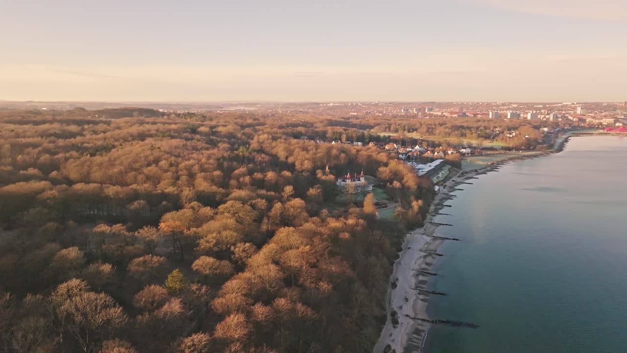 Aerial view of Marselisborg Forest and Aarhus Bay during late fall. The leafless trees and pale sunlight evoke a calm, cinematic winter mood on the Danish coast