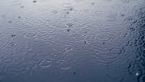 water drops on river surface