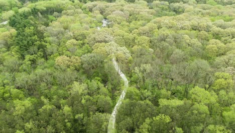 Aerial-shot-of-a-forest-trail-in-a-densely-tree-covered-local-park