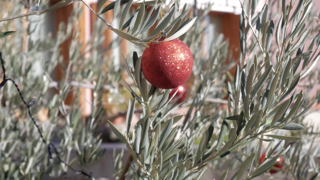Red ornament on outdoor tree, Christmas spirit in nature setting