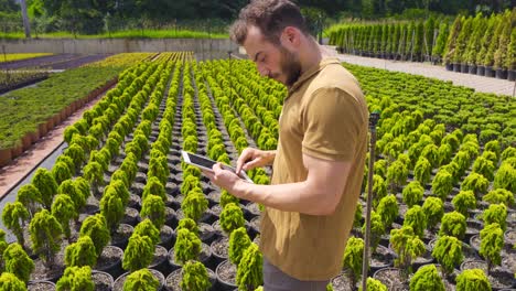 Greenhouse-worker-taking-care-of-flowers,-workflow-in-greenhouse-for-growing.