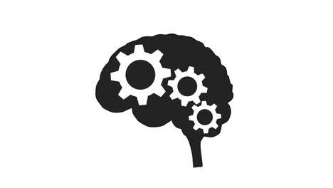 el poder del cerebro