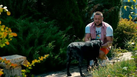 young man plays with black dog in the garden