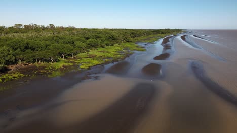 fotografía aérea de un paisaje natural que captura las prístinas marismas fangosas de manglares durante la marea baja, en la reserva natural el destino durante el día en buenos aires