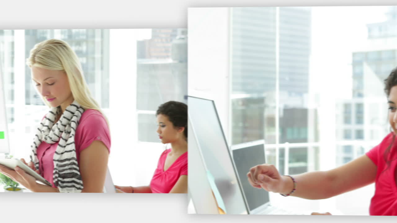 사업가 들 의 모음