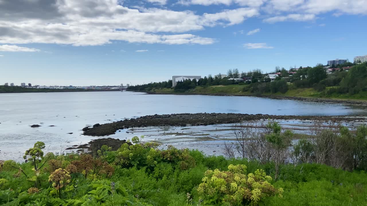 pintoresca bahía de flores silvestres de króargarður con vistas a la costa de björgun de reykjavik
