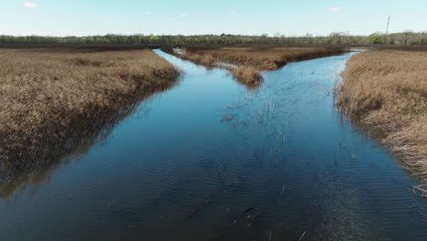 Aerial-View-Of-Marshes-At-Bell-Slough-Wildlife-Area-In-Arkansas,-USA---Drone-Shot