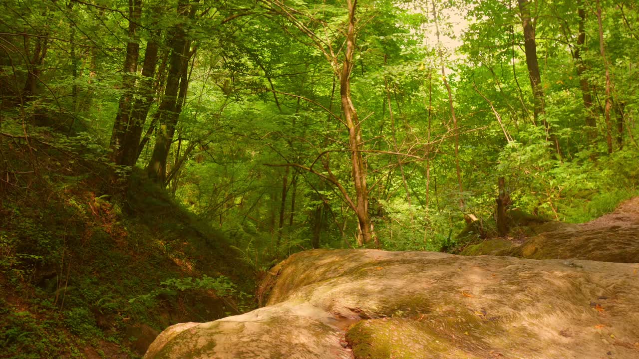 Inside The Wilderness With Rocky River Stream In The Pyrenees, France. Tilt-down Pan Left Shot