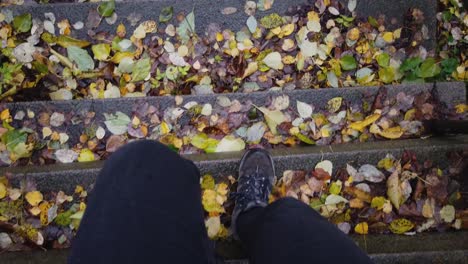 walker descending concrete steps covered in autumn leaves