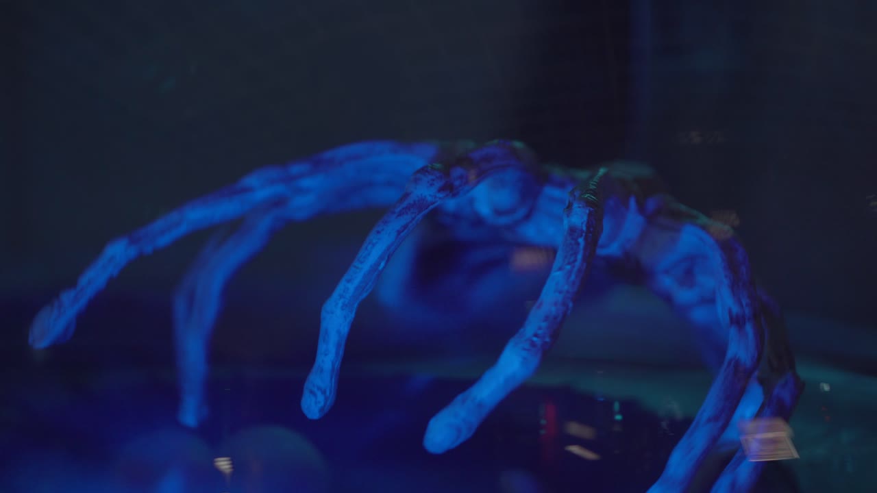 escultura de araña brillante