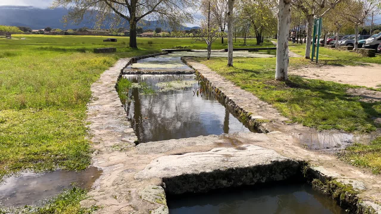 el curso de un arroyo que se canaliza con piedras y árboles en los lados tiene varias pequeñas cascadas, donde vemos su ubicación en un hermoso prado verde, flores y plantas acuáticas crecen