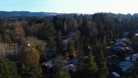 4k drone shot rising into pacific northwest sky