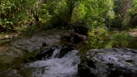 picturesque greenery environment, slow motion flow, wilderness waters