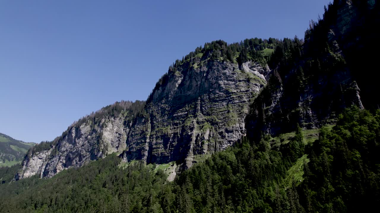 Pan around textured contrast rising rocks above pine tree tops at Montriond lake looking up