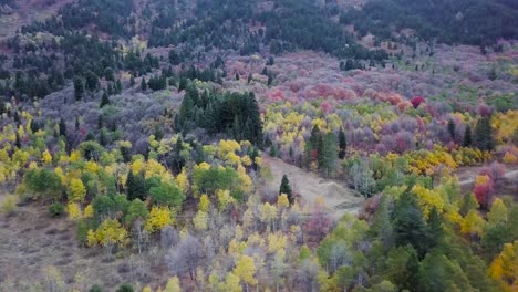 blue hour aerial over snow basin utah aspen and evergreen forest - aerial trucking pan tilt