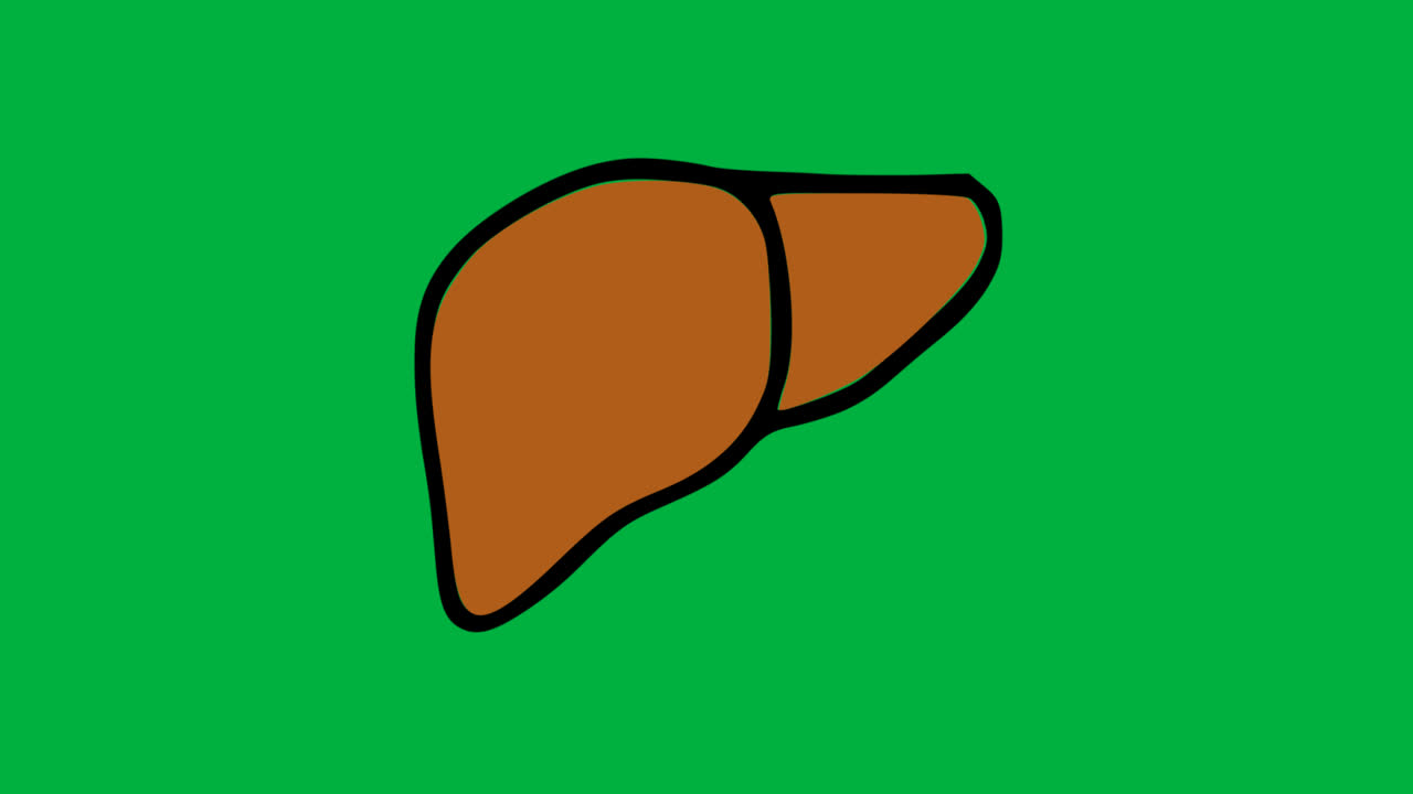 Cartoon Human Liver Organ on Green Screen
