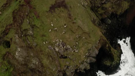 Drone-overhead-of-the-ocean-waves-crashing-along-the-coast-tilt-up-to-the-Cornwall-setting-using-in-the-filming-of-Poldark