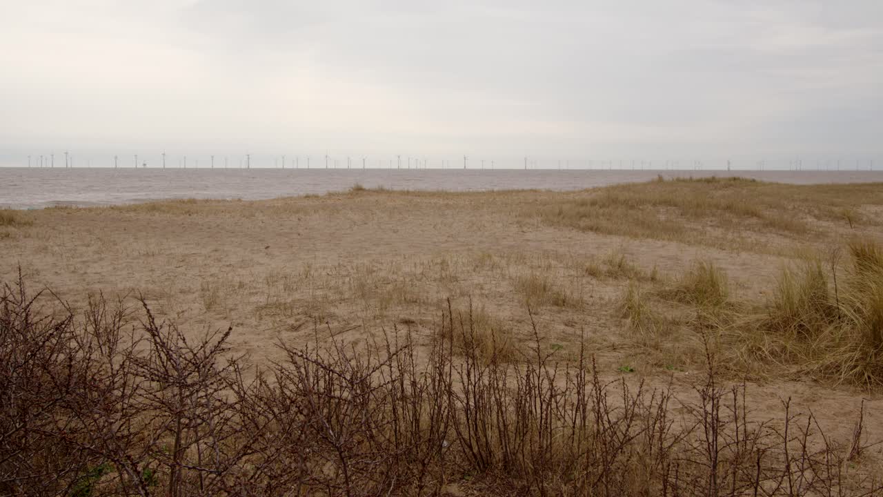 looking East though shrubbery and the sand dunes Marram Grass with the sea beyond on Ingoldmells, Skegness beach