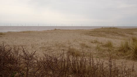 mirando hacia el este a través de arbustos y las dunas de arena marram hierba con el mar más allá en ingoldmells, playa de skegness