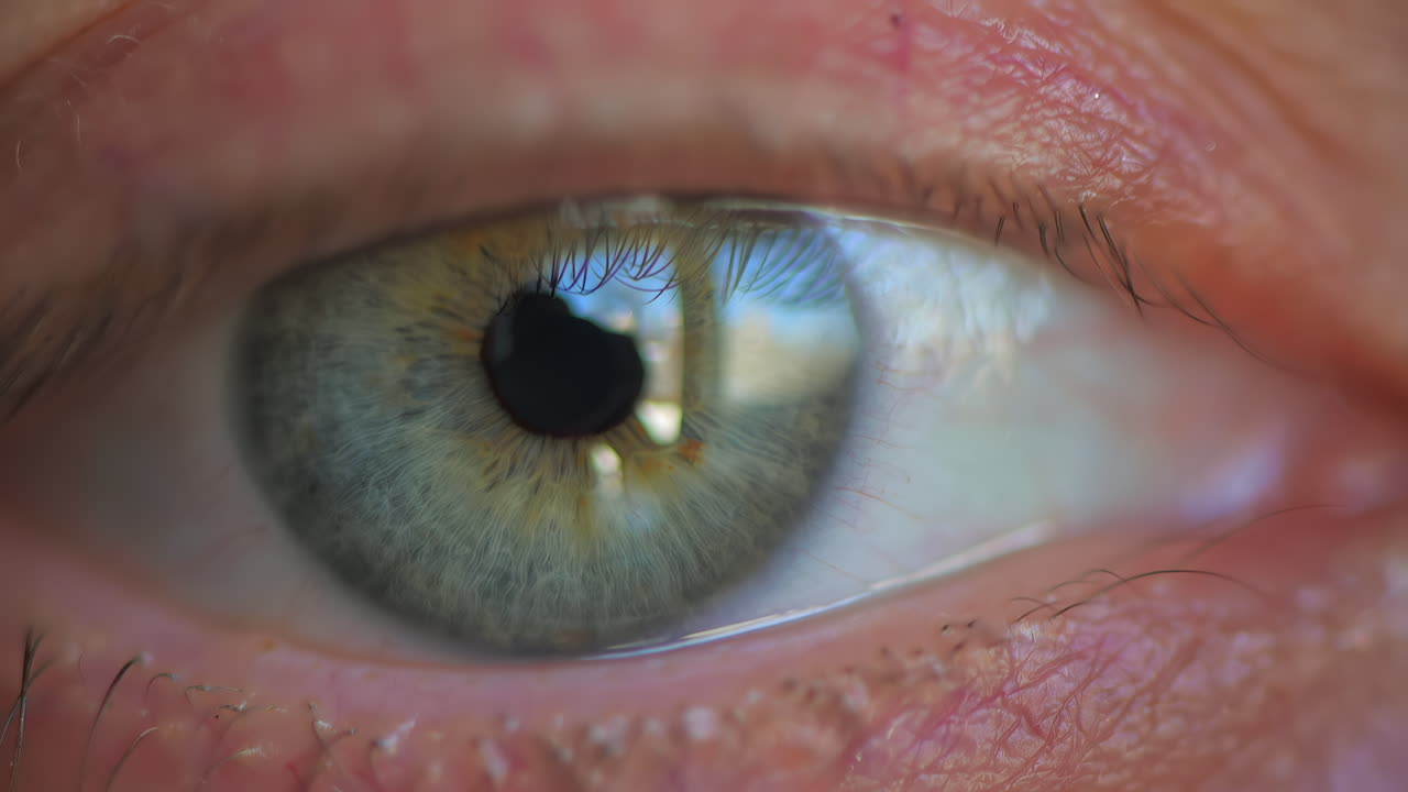 Extreme close up of a human eye with visible details of the iris, eyelashes, and reflections of light
