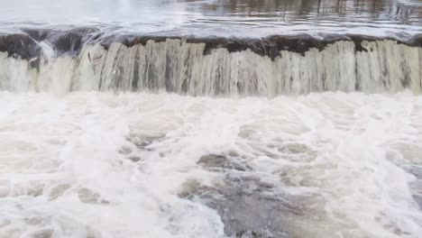 Bream-fishes-jumping-against-waterfall-current-in-Ventas-Rumba-fall,-day