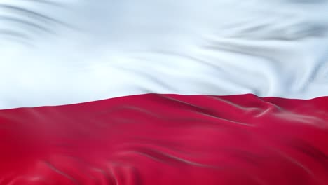 poland flag waving in the wind with highly detailed fabric texture. seamless loop