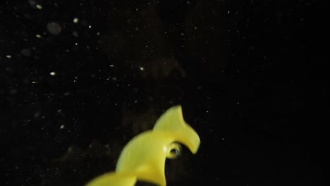 fusilli pasta falling into water.