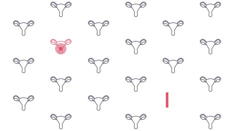 cervical cancer awareness animation of uterus pattern