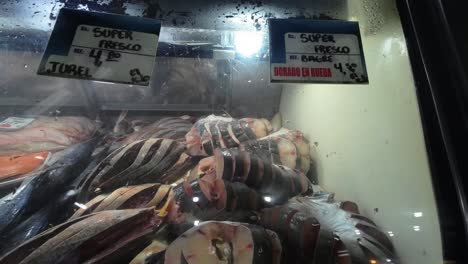 raw fishes display market with price tags in dollars money. tilt down