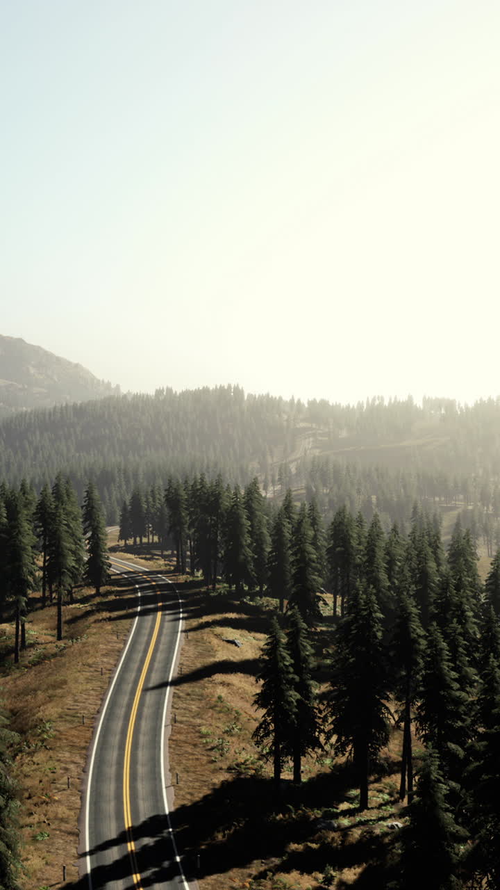 un camino sinuoso a través de un bosque con montañas en la distancia