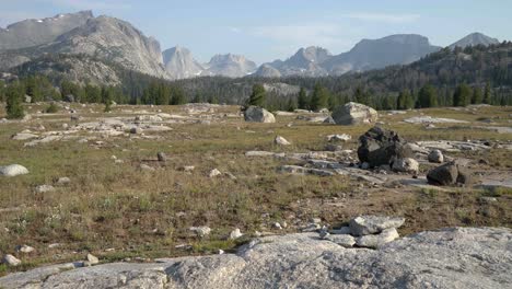 tilt up to a scenic view of rocky terrain in wind river wilderness with scattered boulders and a clear blue sky