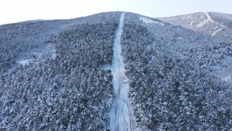 Schnee-Winter-Waldstraße-Luftdrohne