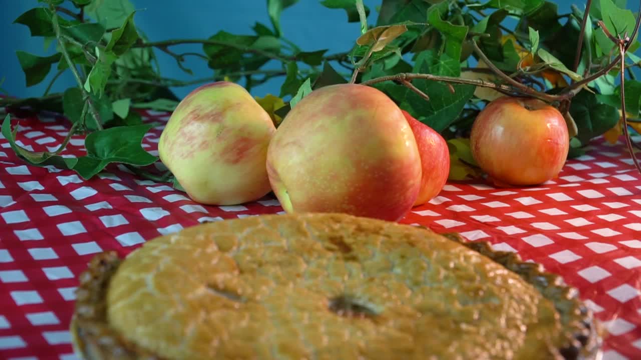 Apple Pie made with honey Crisp apple on a red and white checkered tablecloth