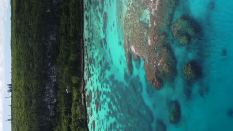 vista aérea de aguas prístinas y arrecifes de coral, en la costa de la isla de maré, nueva caledonia - formato vertical