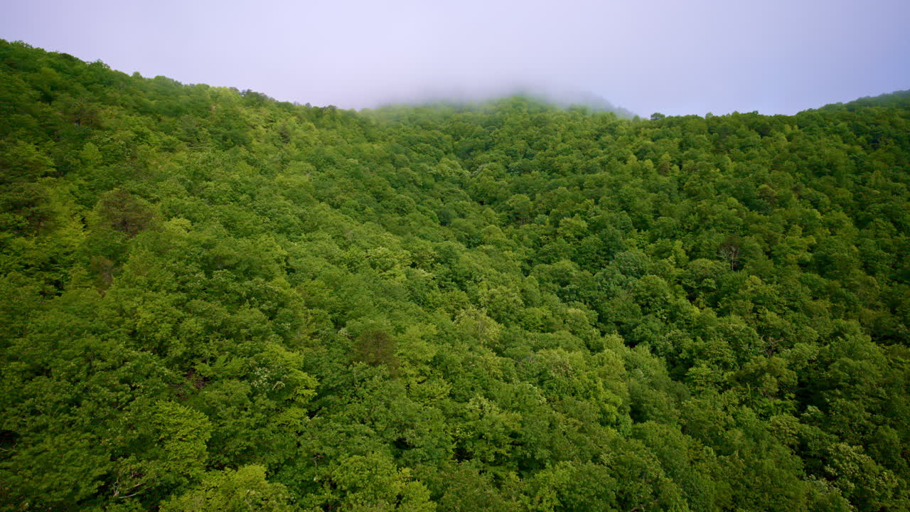 Smooth drone flight showing foggy layers across the Smokies