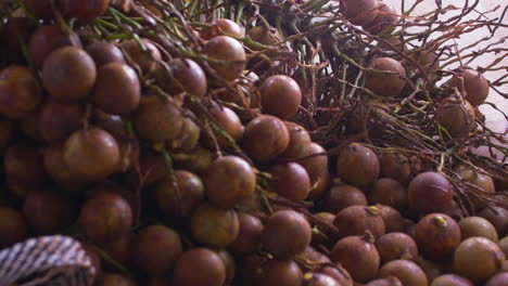 tire en tiro sobre frutos de palmera coyol, almacenados, apilados en bolsas de nailon blanco