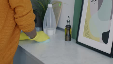 person cleaning kitchen counter