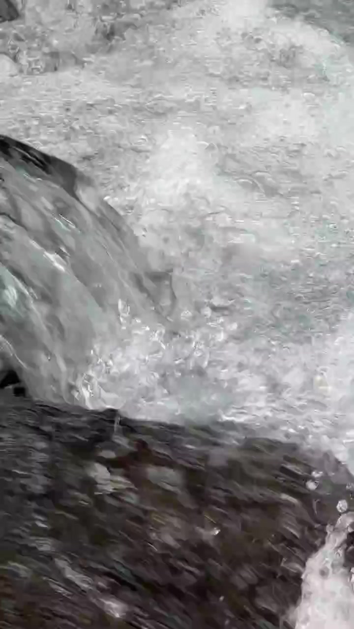 Acqua cristallina di ruscello di montagna che scorre su rocce scure
