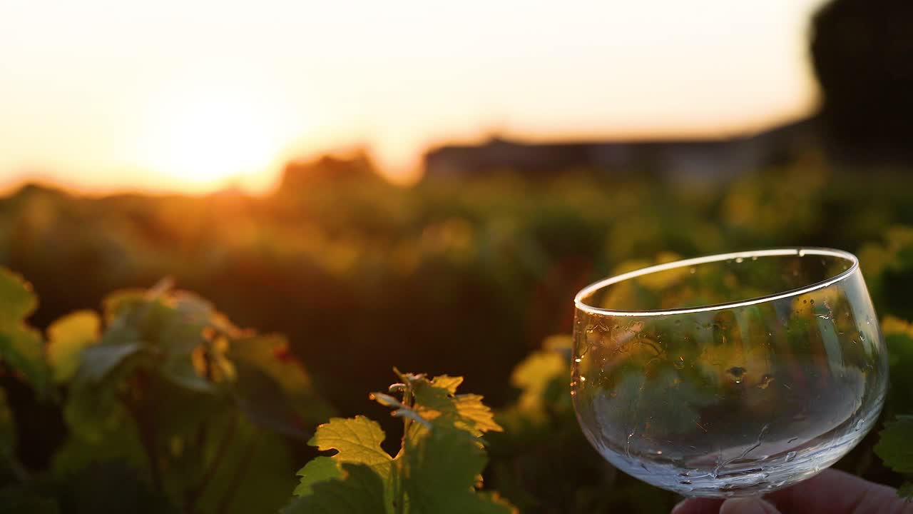 Wein wird bei Sonnenuntergang in ein Glas gegossen.