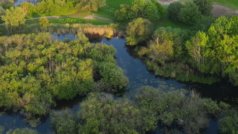 Lush-green-chafford-gorges-nature-park-with-winding-river-and-surrounding-trees,-aerial-view