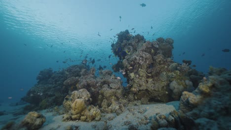 coral reef. sunset. red sea