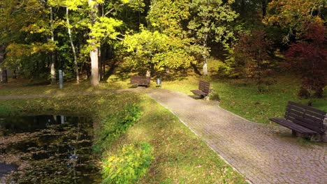 Park-with-golden-autumn-colors-and-sunshine-with-benches-near-pond,-aerial-view