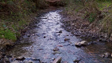 4k-Wasser,-Das-In-Einem-Kleinen-Bach-Mitten-In-Den-Großen-Wäldern-In-Den-Quantock-Hills-Somerset-Englang-Fließt