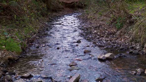 4k agua que fluye hacia abajo en un pequeño arroyo en medio de los grandes bosques en las colinas quantock somerset englang