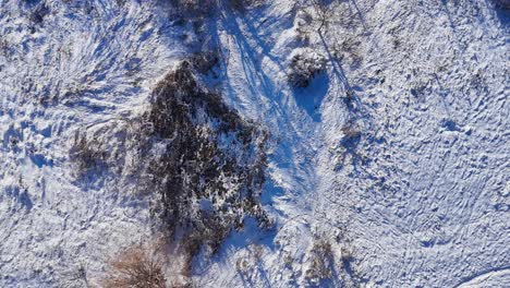 Vogelperspektive-Des-Vacaresti-Deltas-In-Bukarest,-Rumänien,-Gefrorenes-Wunderland-Aus-Weiß