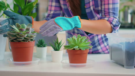 woman choosing flowers for replanting