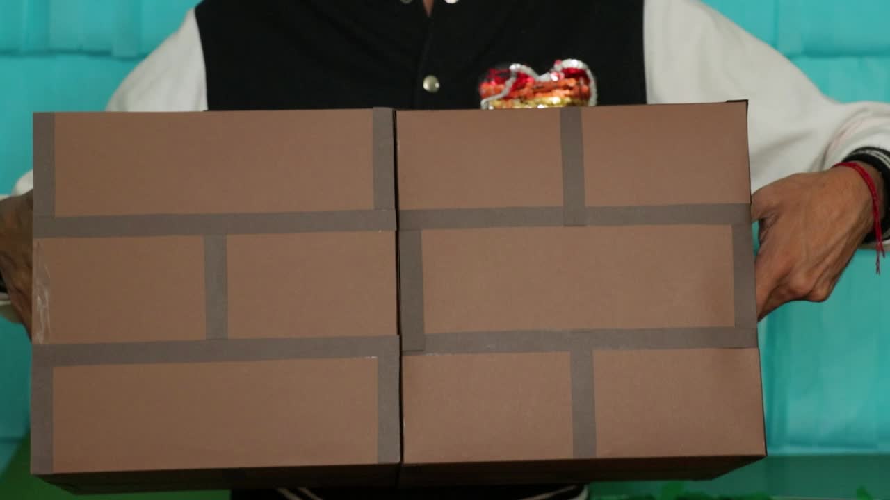 푸른색 배경에 벽돌 같은 패턴을 가진 두 개의 카드보드 큐브를 들고 있는 사람