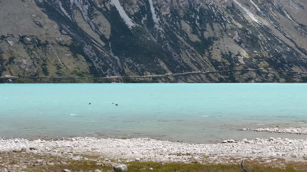 замедленная съемка птиц, пролетающих над бирюзовой водой горного озера с возвышающейся горой на заднем плане
