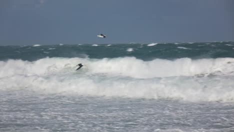 Möwen-Fliegen-über-Wellen-In-Der-Bucht